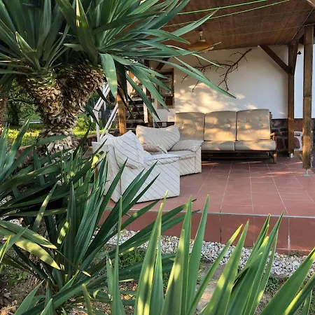 Szoloskert Ábrahámhegy